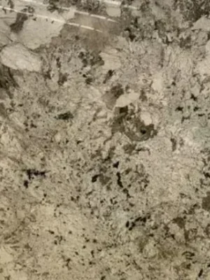 Interior Quartzite Alpinus